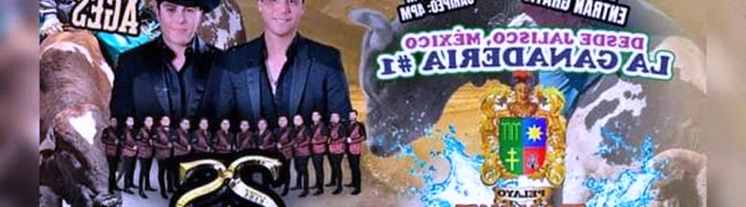 La Arrolladora Banda El Limon