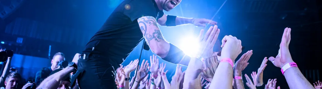 Rise Against
